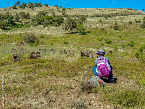The Simien Mountains in Ethiopia with the largest population of gelada baboon