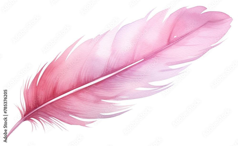 PNG Feather pink lightweight accessories PNG Feather pink lightweight accessories