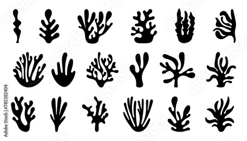 Abstract Algae Coral and seaweed shapes. Seaweed big set in silhouette style. Collection of black underwater plants.  vector illustration in flat style photo