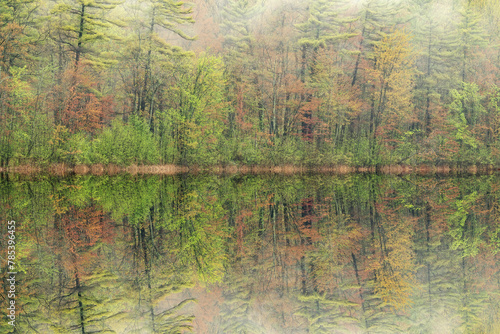 Foggy spring landscape at dawn of the shoreline of Long Lake with mirrored reflections in calm water, Yankee Springs State Park, Michigan, USA