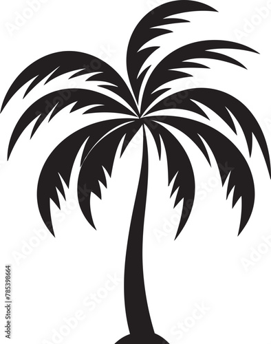 Palm Trees A Botanical Marvel in Tropical Landscapes