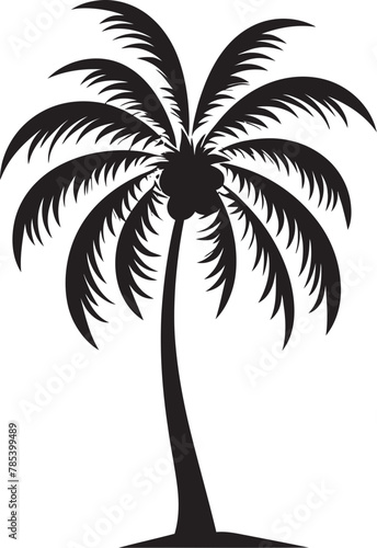 The Story of Palms Tales from Tropical Shores