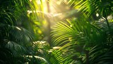 Tropical Leaves: A photo of sunlight filtering through dense tropical foliage