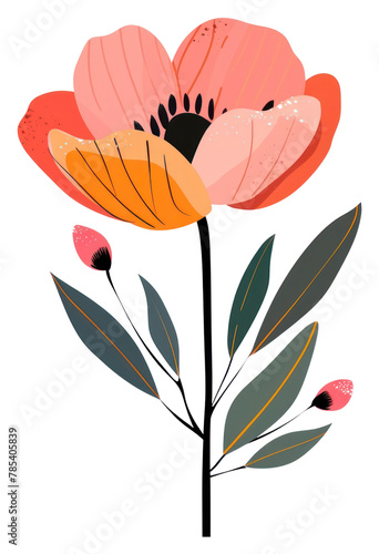 PNG Aesthetic flower in boho art blossom anemone