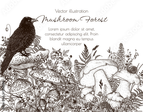 Vector illustration of mushroom forest and raven. Fly agaric, porcini mushroom, berries, flowers, forest plants in engraving style