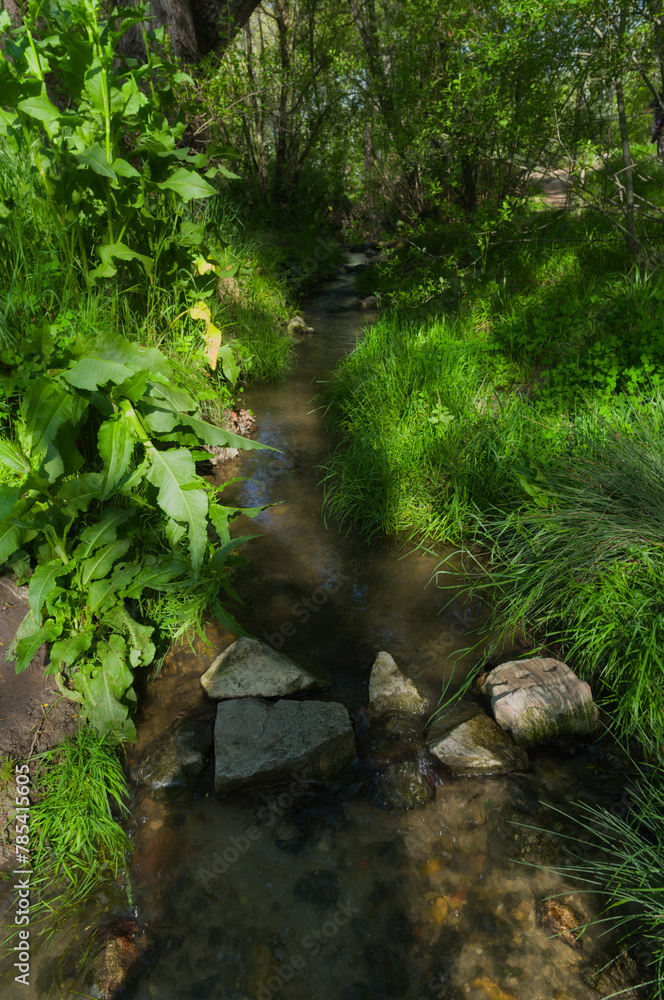landscape, view, nature, park, spring, plants, trees, outside, m landscape, view, nature, park, spring, plants, trees, outside, m