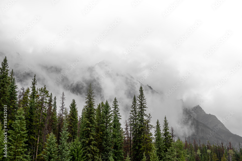 Dramatic view of Rocky Mountains enclosed in mist and clouds with green spruce trees in the foreground. The clouds fade to transparent towards the top right.
Dramatic view of Rocky Mountains enclosed in mist and clouds with green spruce trees in the foreground. The clouds fade to transparent towards the top right.