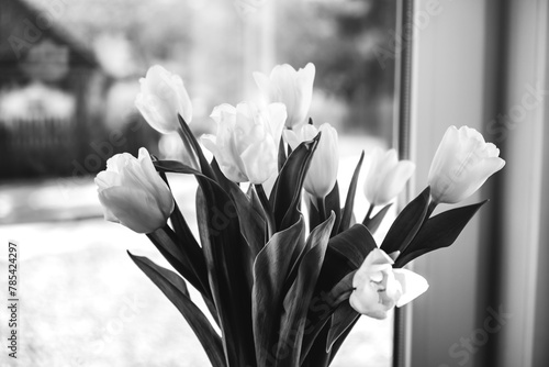 White tulip flowers on the window. Day of Remembrance. Black and white. Sunny spring. Side view of beautiful bouquet. Valentines day, Mothers day, Womens day, birthday gift. Text place. Greeting card