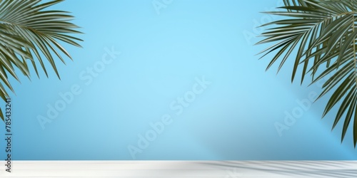 Sky Blue background with palm leaf shadow and white wooden table for product display  summer concept