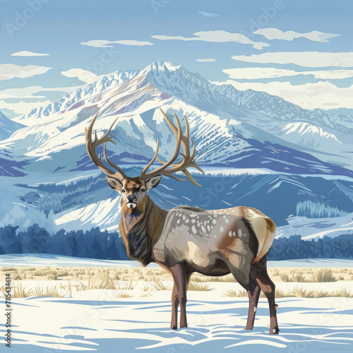 illustrative Cervus nippon yesoensis, on snowy meadow, winter mountains in the background. © LY
