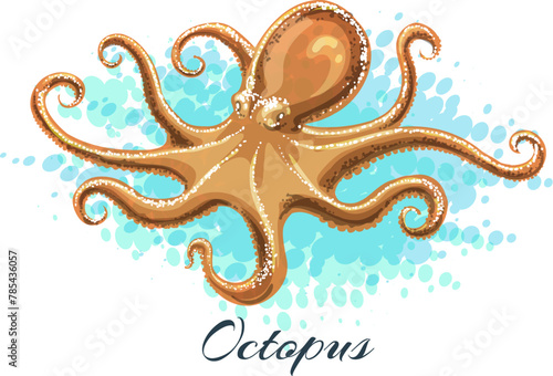 Watercolor octopus illustration
