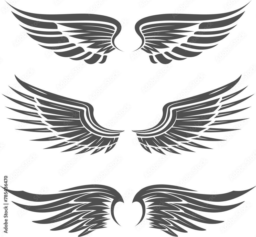 Obraz premium Wing for heraldry design set