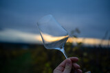 Weinflasche und Glas im Weinberg
