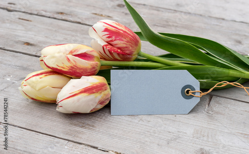 Bouquet of striped tulips in red, yellow and white and card with copy space