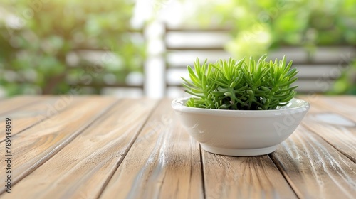 Small green plant in a bowl on wooden table. Natural decor accent concept
 photo