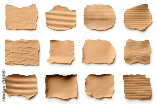 Collection of ripped pieces of corrugated cardboard isolated on white background