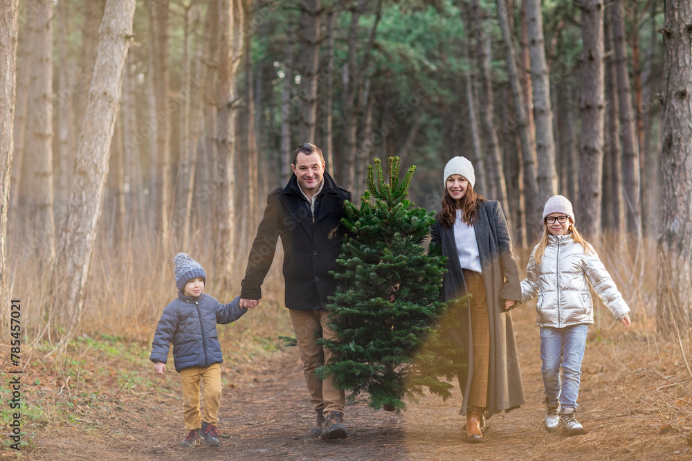 Cheerful couple with kids carrying spruce tree in woods