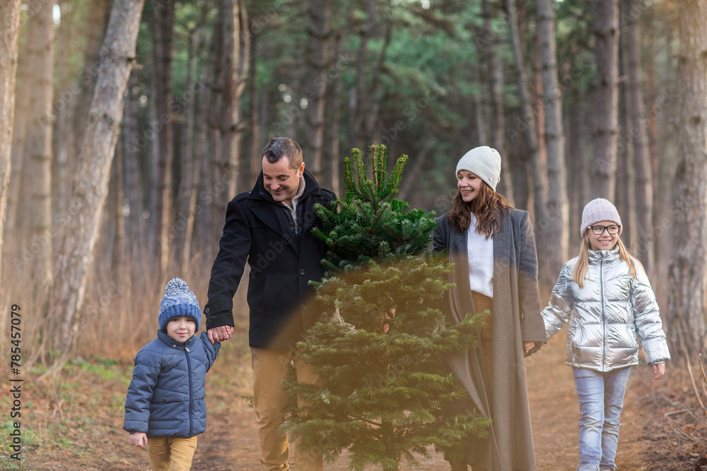 Fototapeta premium Cheerful couple with kids carrying spruce tree in woods