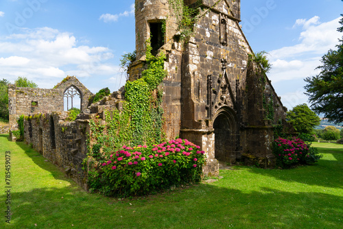 Devant les ruines de l'église Saint-Pierre de Quimerc'h, des Hortensias fleuris ajoutent une touche de vie, contrastant avec la solennité de l'histoire du Finistère.