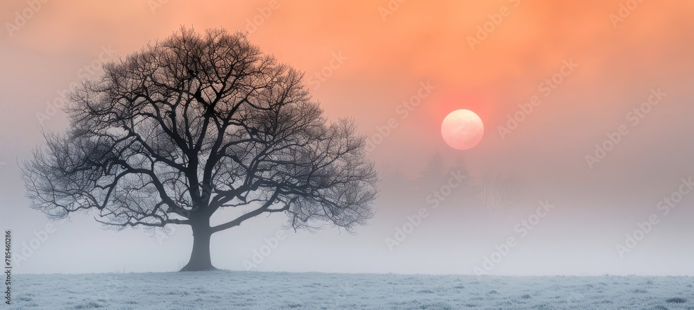 Tranquil winter sunrise landscape creating a serene ambiance for a peaceful morning Tranquil winter sunrise landscape creating a serene ambiance for a peaceful morning