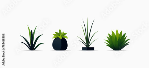 Set of stylish vector house plants in pots in flat cartoon style. Beautiful collection in black and green colors.