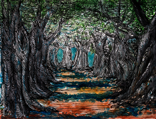 Black forest illustration
