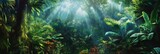 The dense greenery of a rainforest with streams of light filtering through the canopy
