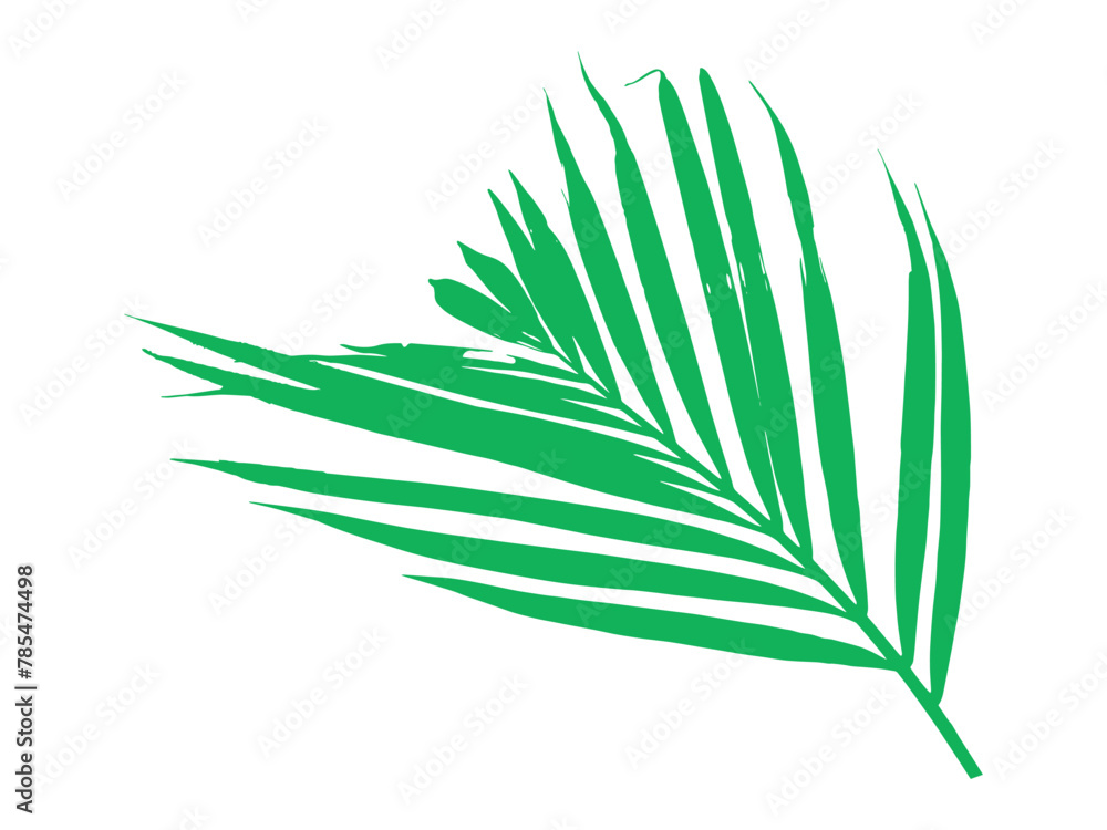 Coconut Leaf Tropical Leaves Illustration
Coconut Leaf Tropical Leaves Illustration