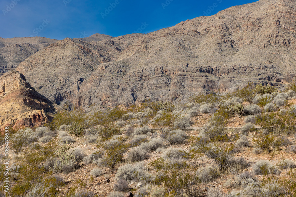 Mountains and snow peaks in the nevada and utah valleys Mountains and snow peaks in the nevada and utah valleys