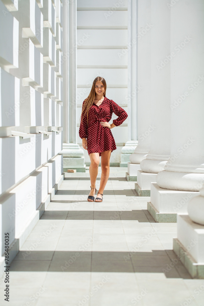 Obraz premium Portrait of a young beautiful girl