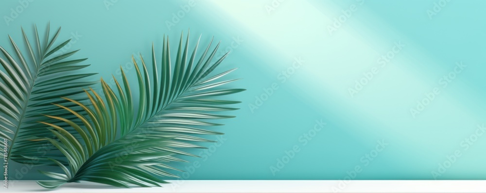 Turquoise background with palm leaf shadow and white wooden table for product display, summer concept