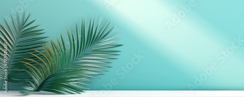 Turquoise background with palm leaf shadow and white wooden table for product display  summer concept