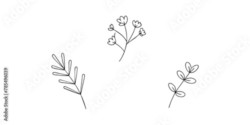 Set of hand-drawn botanical flowers line art vector. Collection of foliage  leaf branches  floral  flowers  roses  and line art.
