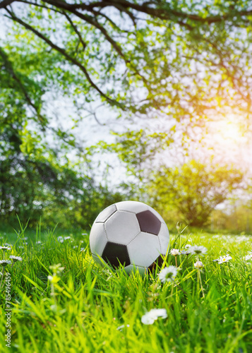  The soccer football lays on a green grass with flowers. Poster.
