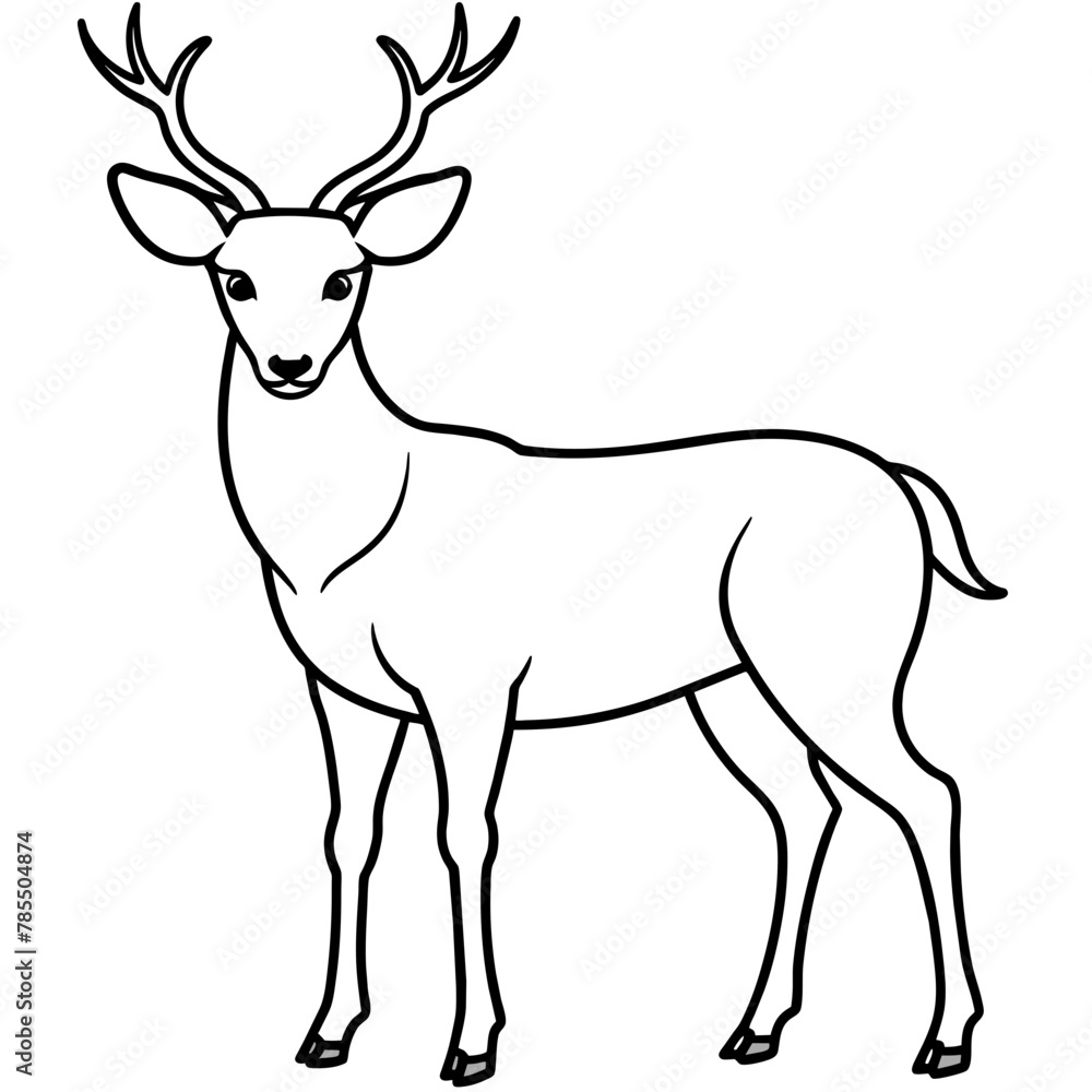 Deer vector illustration style.
Deer vector illustration style.