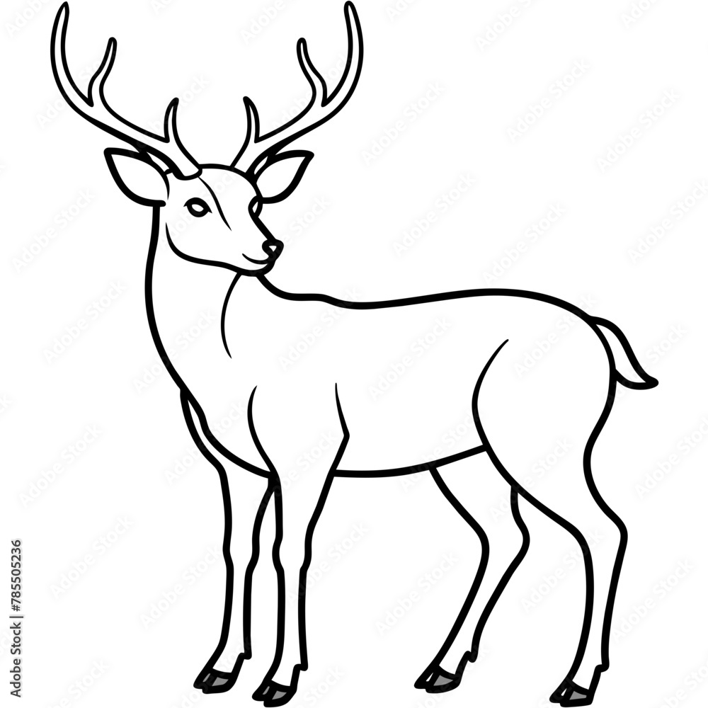 Fototapeta premium Deer vector illustration style. 