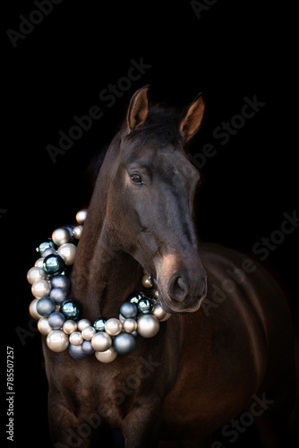 Weihnachtspferde © ScullyPictures