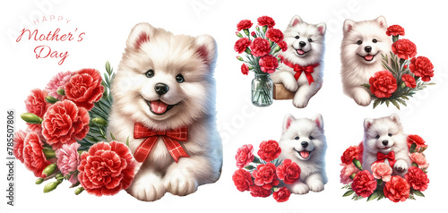 Samoyed puppy and red carnation watercolor illustration material set