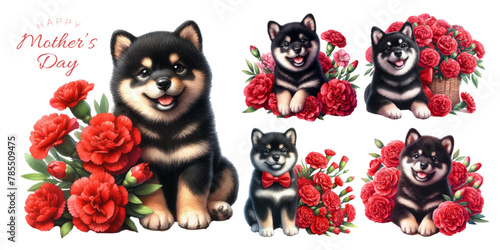 Black shiba inu puppy and red carnation watercolor illustration material set
