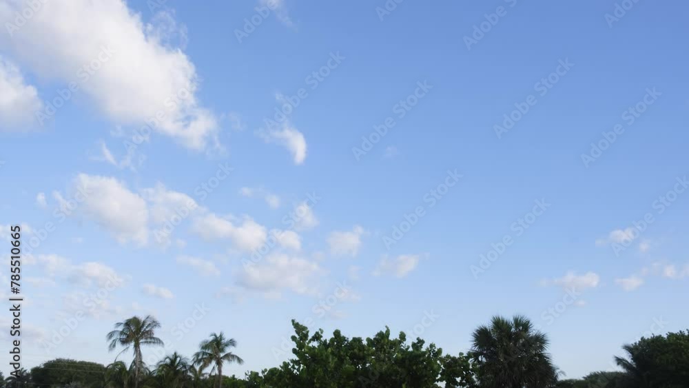 Wide view day time lapse of fast clouds moving across blue sky over palm trees Wide view day time lapse of fast clouds moving across blue sky over palm trees