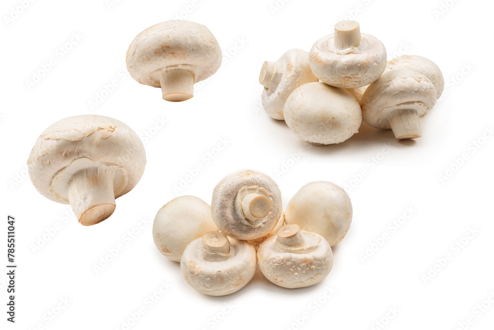 Champignon mushroom isolated on white background. Champignon mushroom isolated on white background.