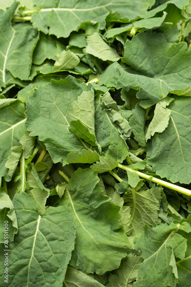 Fototapeta premium Mix of fresh salad as a background. Top view.