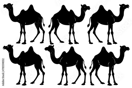 Camel silhouette vector illustration white background