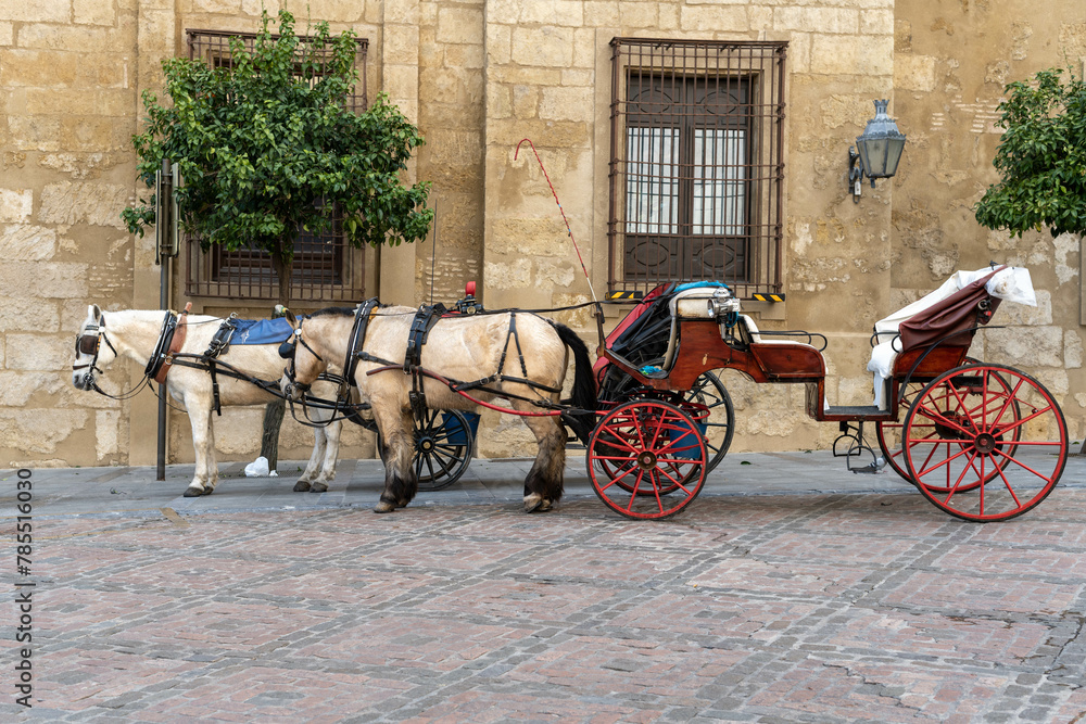 Two horses with a cart to carry passengers on a cobbled street in Cordoba, Spain.