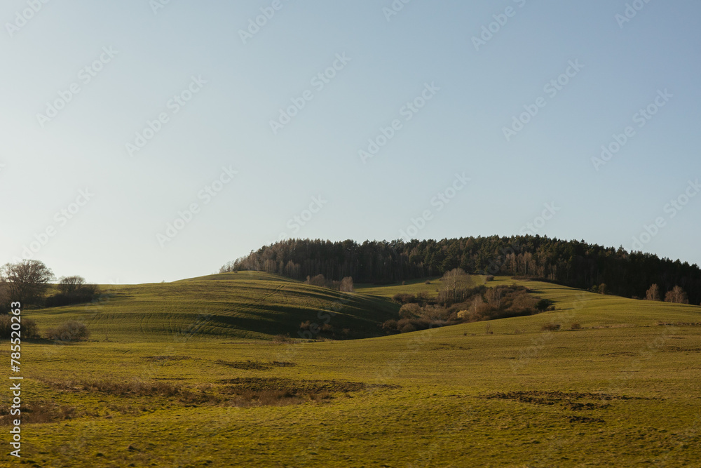 Green grass field on small hills and blue sky