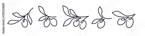 Olive branch set. Minimal linear sketch Oil symbol