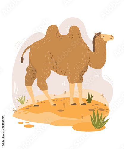 Bactrian camel among the sand and bushes. Cheerful desert animal among cacti. Template for use in children's design, textiles, books, packaging. Funny vector illustration in children's drawing style.