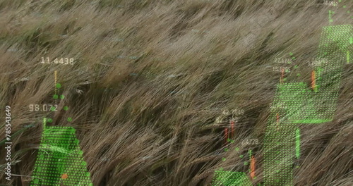 Image of diagrams and data processing over grass waving