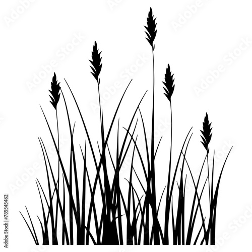 PNG Grass silhouette plant tranquility