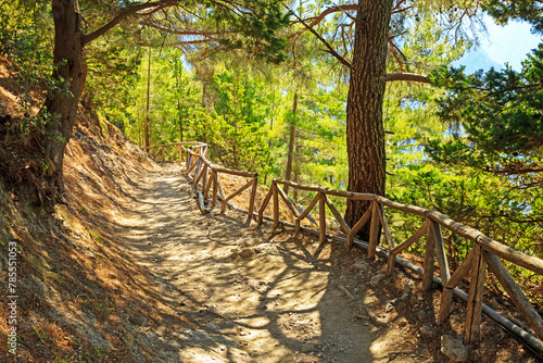 Pine forest hiking trail into Samaria gorge. Crete, Greece